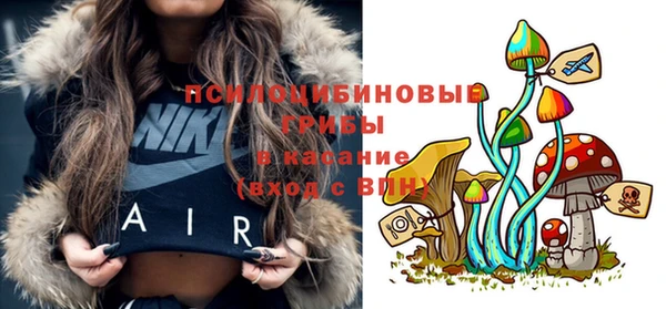 меф Гусь-Хрустальный