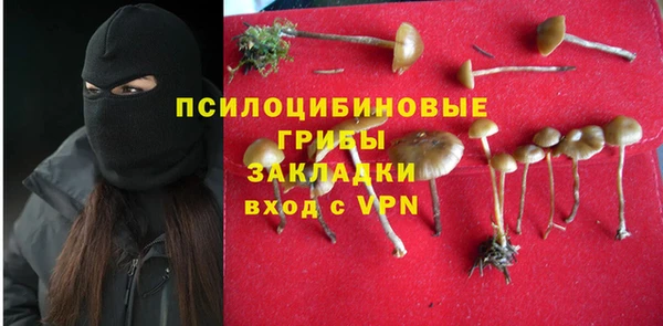каннабис Гусев