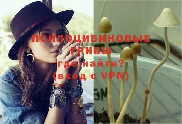 крисы Осинники