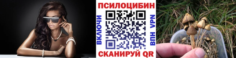 Галлюциногенные грибы MAGIC MUSHROOMS  закладки  Дзержинский 