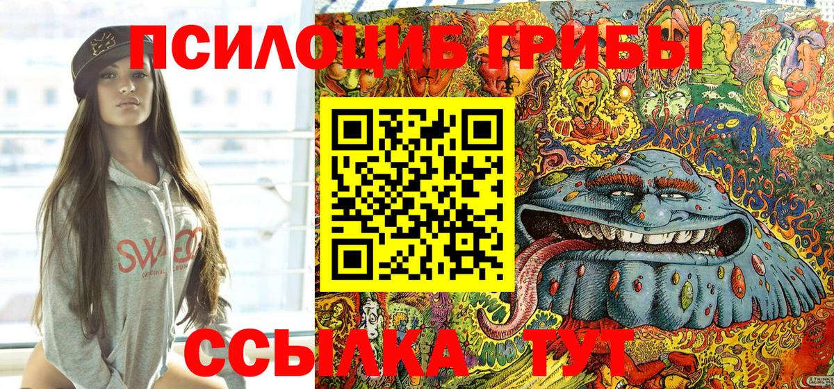 Дзержинский  закладки  Вход с VPN  Псилоцибиновые грибы MAGIC MUSHROOMS 
